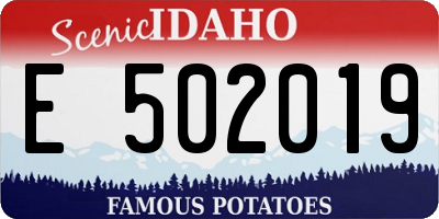ID license plate E502019