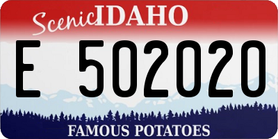 ID license plate E502020
