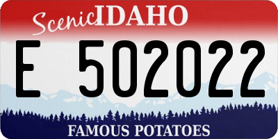 ID license plate E502022