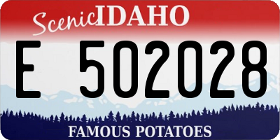 ID license plate E502028