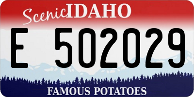ID license plate E502029