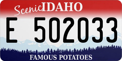 ID license plate E502033