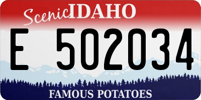 ID license plate E502034