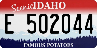 ID license plate E502044