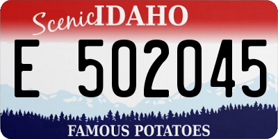 ID license plate E502045