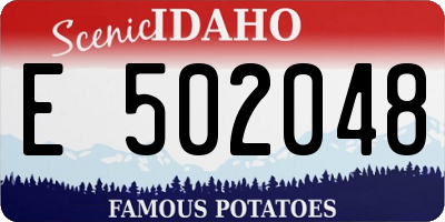 ID license plate E502048