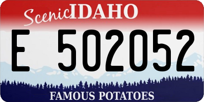 ID license plate E502052