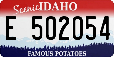 ID license plate E502054