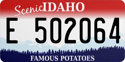 ID license plate E502064