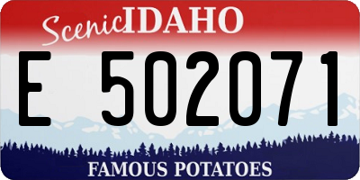 ID license plate E502071