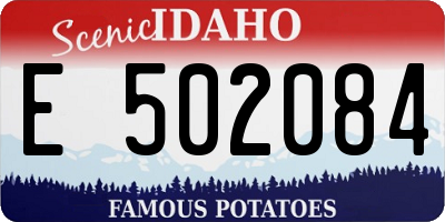 ID license plate E502084