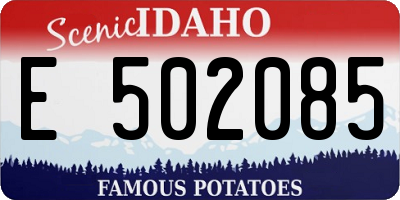 ID license plate E502085