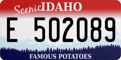 ID license plate E502089