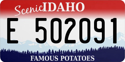 ID license plate E502091
