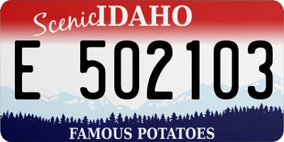ID license plate E502103