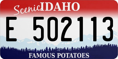ID license plate E502113