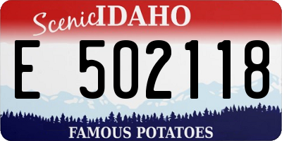 ID license plate E502118