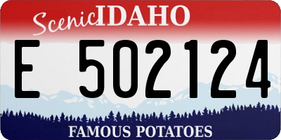 ID license plate E502124