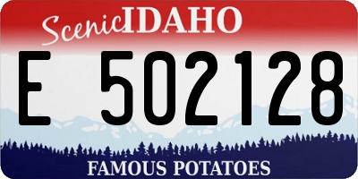 ID license plate E502128
