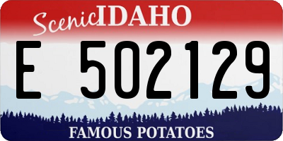 ID license plate E502129