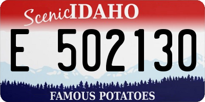 ID license plate E502130