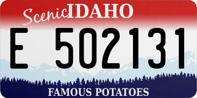 ID license plate E502131