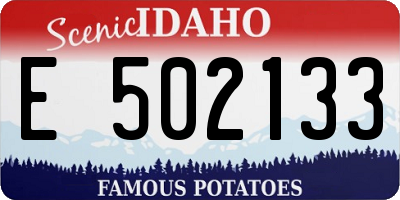 ID license plate E502133
