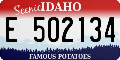 ID license plate E502134