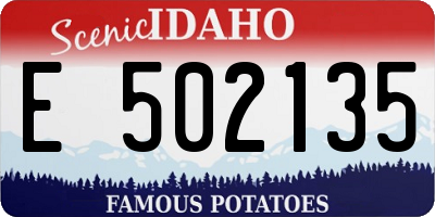 ID license plate E502135