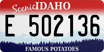 ID license plate E502136