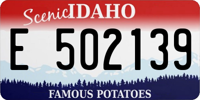 ID license plate E502139