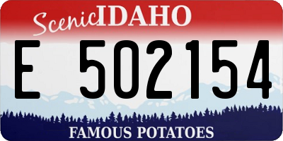 ID license plate E502154