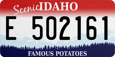 ID license plate E502161