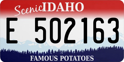 ID license plate E502163