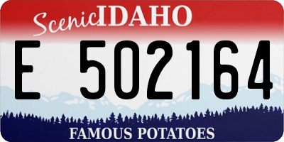 ID license plate E502164
