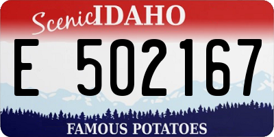 ID license plate E502167