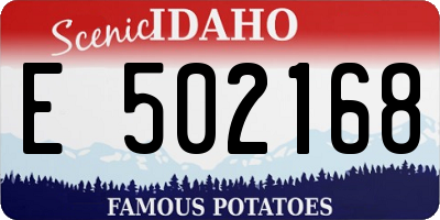 ID license plate E502168