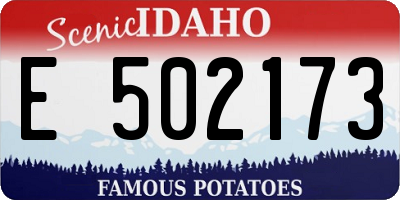 ID license plate E502173