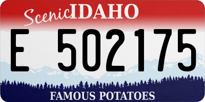 ID license plate E502175