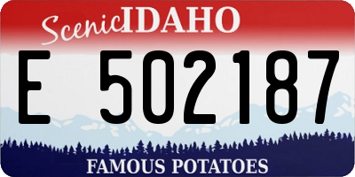 ID license plate E502187
