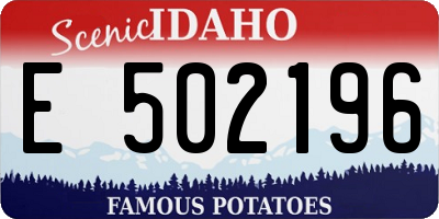 ID license plate E502196