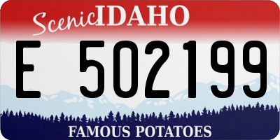 ID license plate E502199