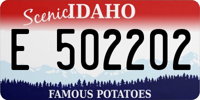 ID license plate E502202