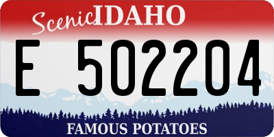 ID license plate E502204