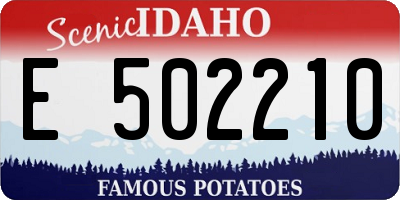 ID license plate E502210