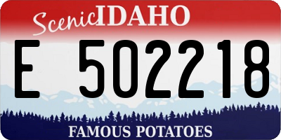 ID license plate E502218