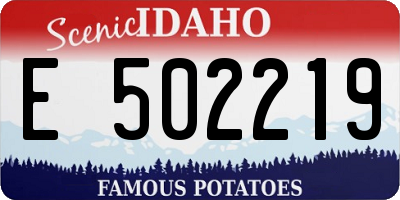 ID license plate E502219