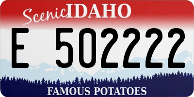 ID license plate E502222