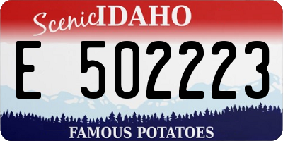 ID license plate E502223