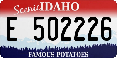 ID license plate E502226